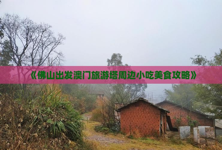 《佛山出发澳门旅游塔周边小吃美食攻略》