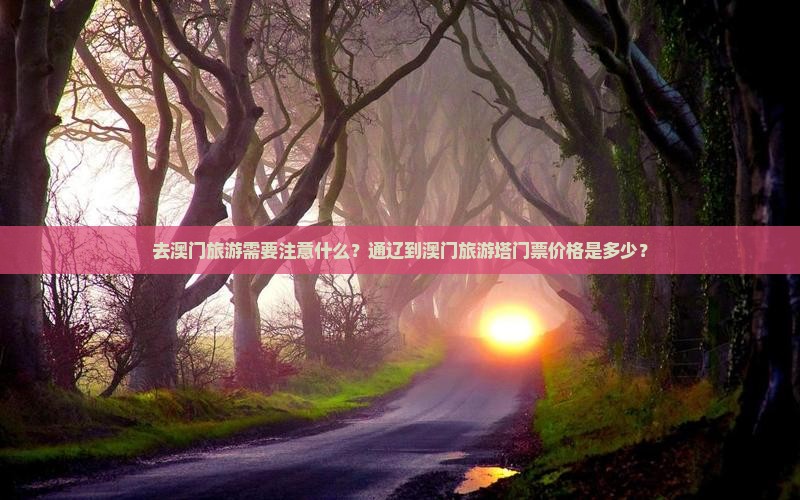 去澳门旅游需要注意什么？通辽到澳门旅游塔门票价格是多少？