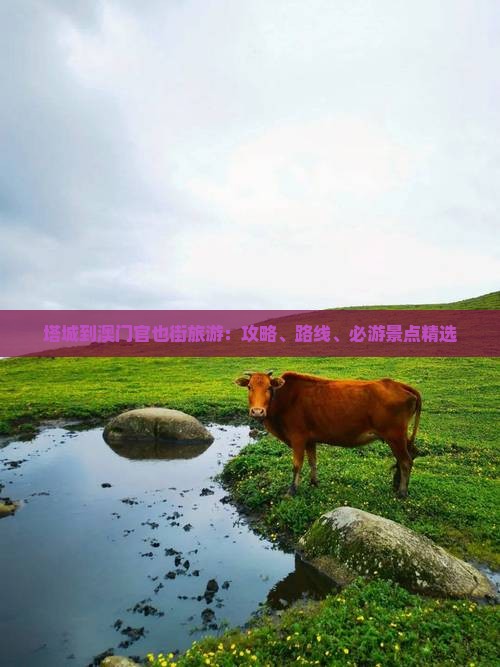 塔城到澳门官也街旅游：攻略、路线、必游景点精选