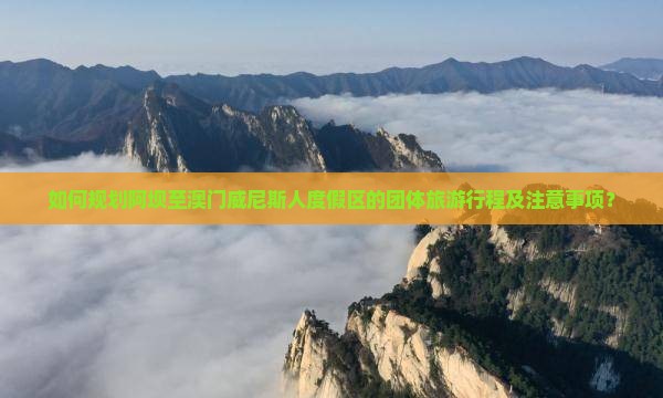 如何规划阿坝至澳门威尼斯人度假区的团体旅游行程及注意事项？
