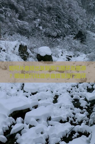 如何从曲靖出发到澳门路环岛旅游？哪些旅行社提供曲靖至澳门路环岛旅游服务？
