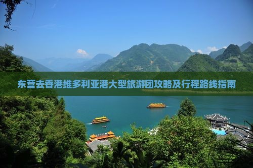 东营去香港维多利亚港大型旅游团攻略及行程路线指南