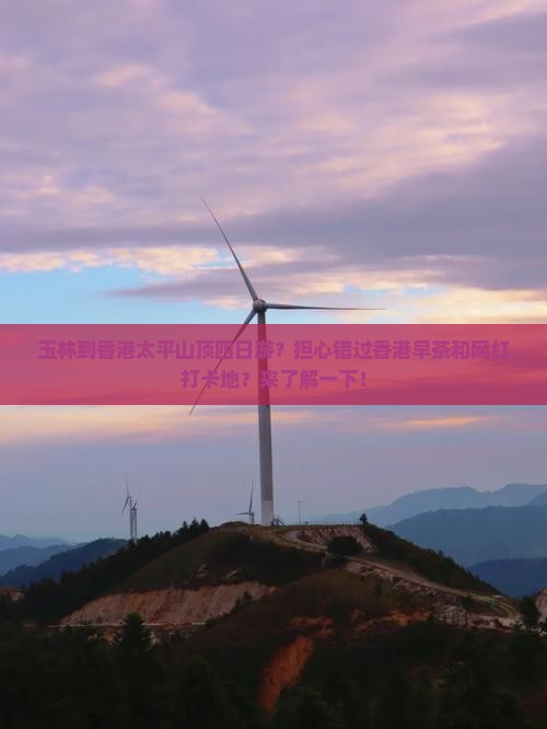 玉林到香港太平山顶四日游？担心错过香港早茶和网红打卡地？来了解一下！
