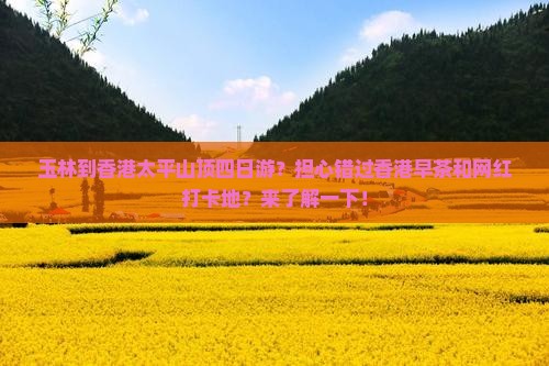 玉林到香港太平山顶四日游？担心错过香港早茶和网红打卡地？来了解一下！