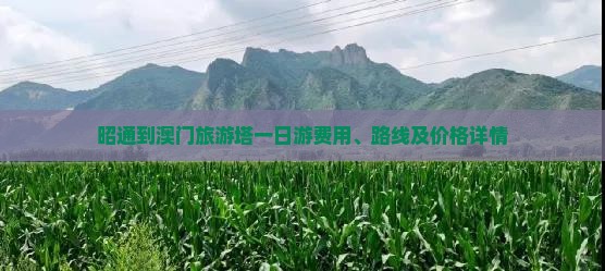 昭通到澳门旅游塔一日游费用、路线及价格详情