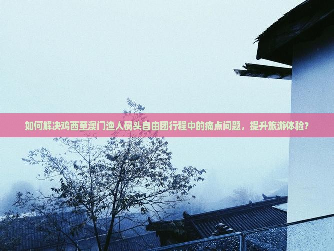 如何解决鸡西至澳门渔人码头自由团行程中的痛点问题，提升旅游体验？