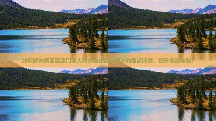 如何解决鸡西至澳门渔人码头自由团行程中的痛点问题，提升旅游体验？