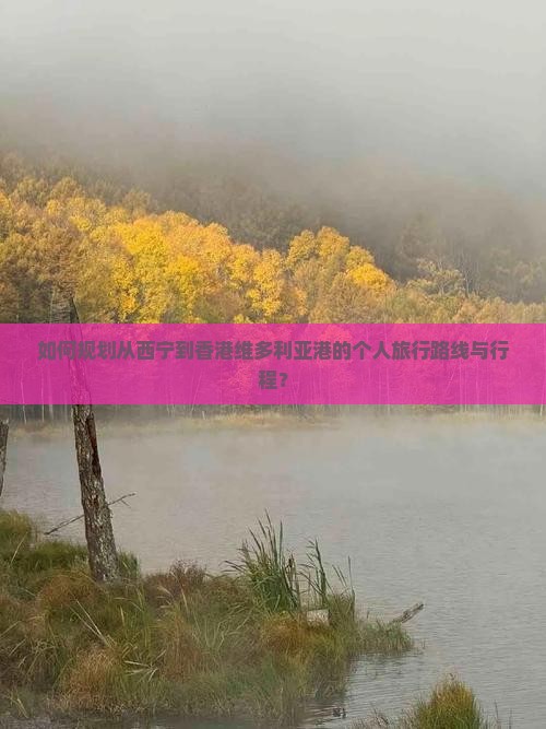 如何规划从西宁到香港维多利亚港的个人旅行路线与行程？