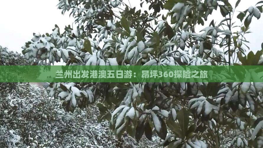 兰州出发港澳五日游：昂坪360探险之旅