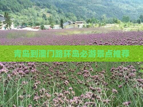 青岛到澳门路环岛必游景点推荐