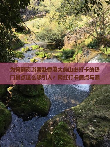 为何鹤岗游客赴香港大屿山必打卡的热门景点这么吸引人？网红打卡痛点与潮流新词！