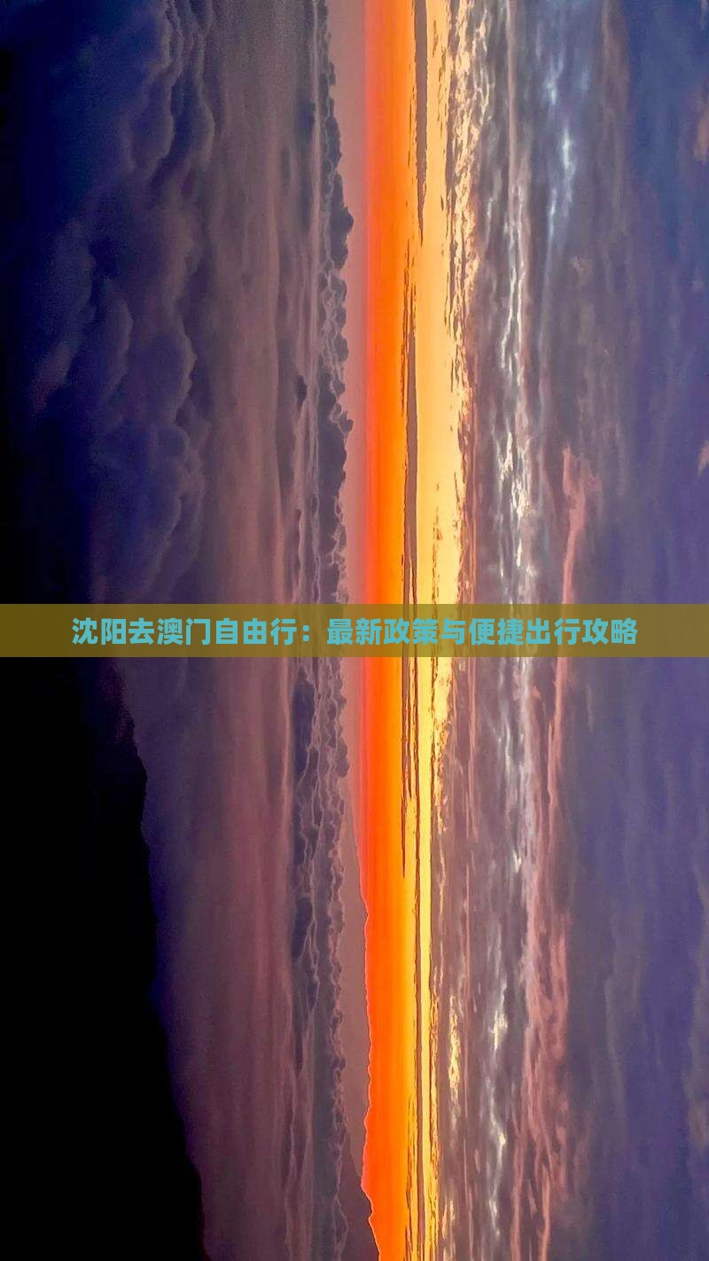 沈阳去澳门自由行：最新政策与便捷出行攻略