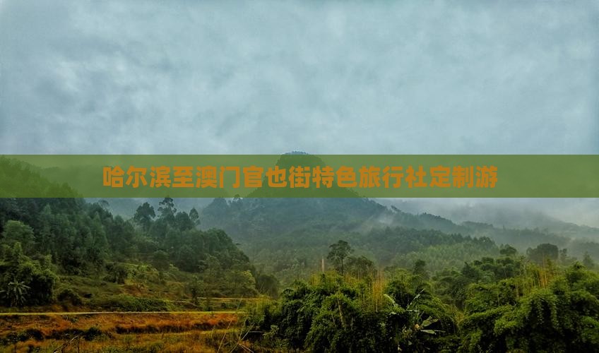 哈尔滨至澳门官也街特色旅行社定制游
