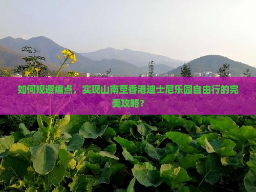 如何规避痛点，实现山南至香港迪士尼乐园自由行的完美攻略？