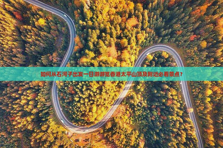 如何从石河子出发一日游游览香港太平山顶及附近必看景点？