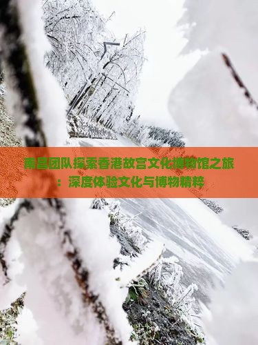 南昌团队探索香港故宫文化博物馆之旅：深度体验文化与博物精粹