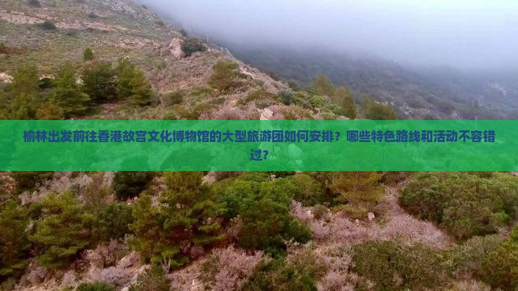 榆林出发前往香港故宫文化博物馆的大型旅游团如何安排？哪些特色路线和活动不容错过？