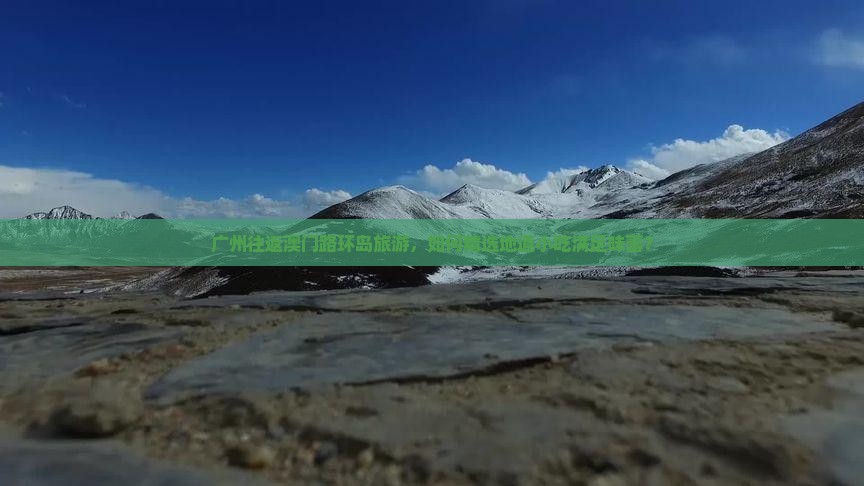 广州往返澳门路环岛旅游，如何精选地道小吃满足味蕾？