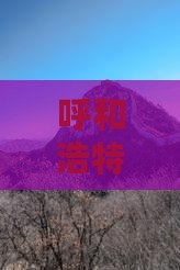 呼和浩特二日漫步：香港风情之旅