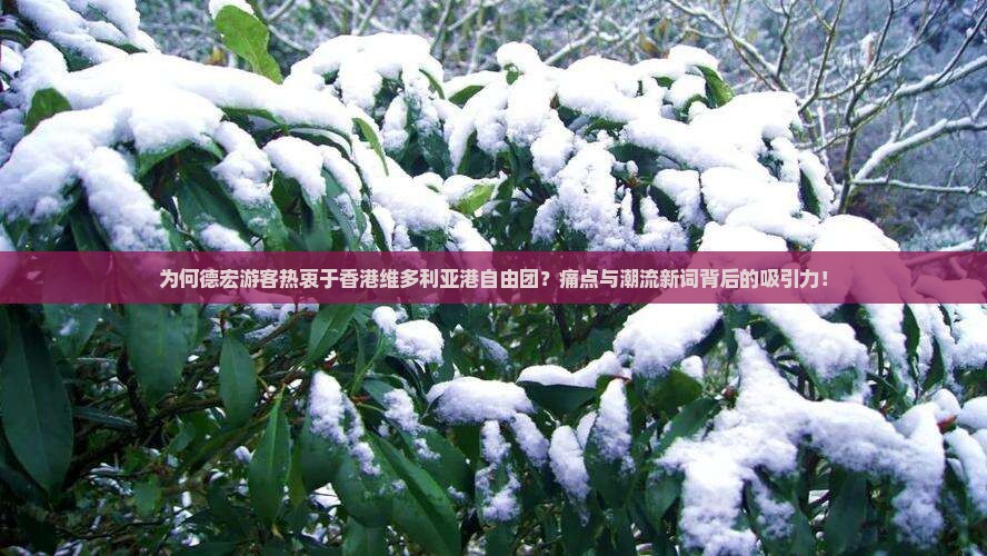 为何德宏游客热衷于香港维多利亚港自由团？痛点与潮流新词背后的吸引力！