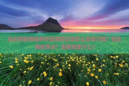 崇左到香港维多利亚港四日游怎么安排行程？包含哪些景点？需要准备什么？