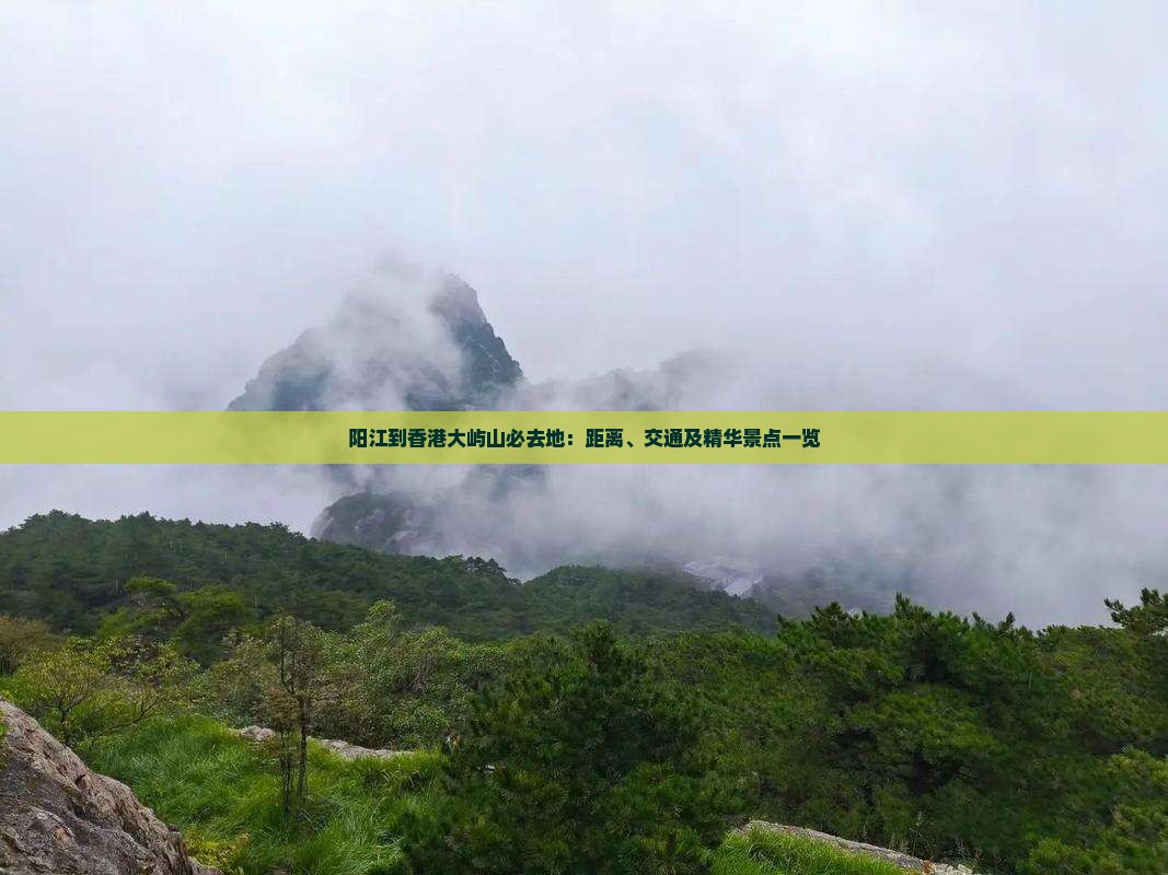 阳江到香港大屿山必去地：距离、交通及精华景点一览