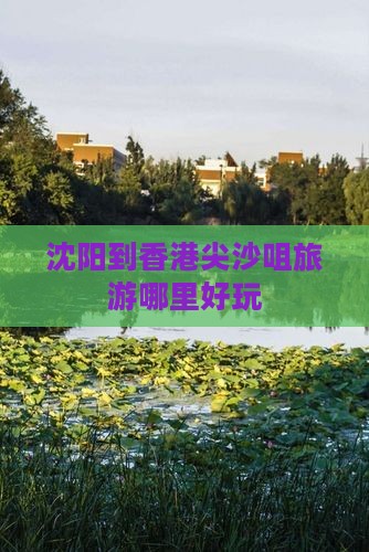沈阳到香港尖沙咀旅游哪里好玩