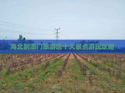 海北到澳门旅游塔十大景点游玩攻略