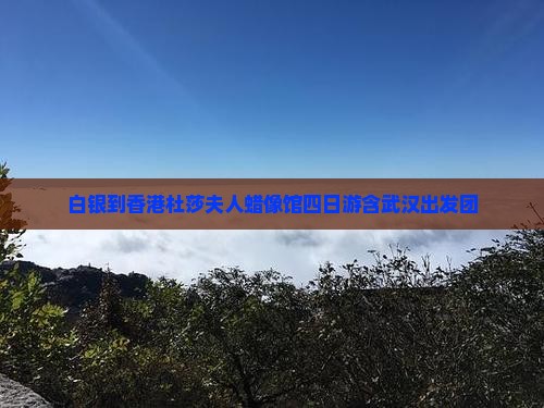 白银到香港杜莎夫人蜡像馆四日游含武汉出发团