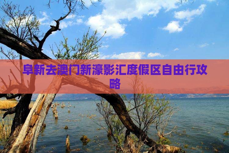 阜新去澳门新濠影汇度假区自由行攻略