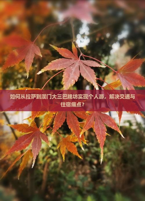 如何从拉萨到澳门大三巴牌坊实现个人游，解决交通与住宿痛点？