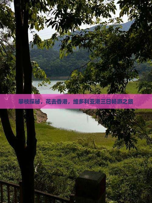 攀枝探秘，花去香港，维多利亚港三日畅游之旅