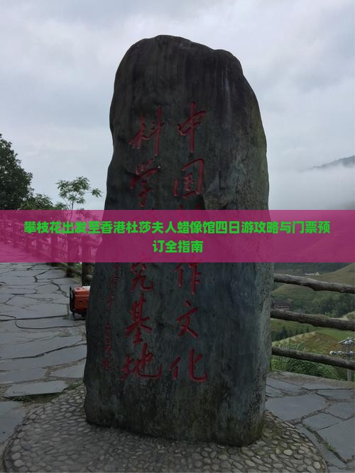 攀枝花出发至香港杜莎夫人蜡像馆四日游攻略与门票预订全指南