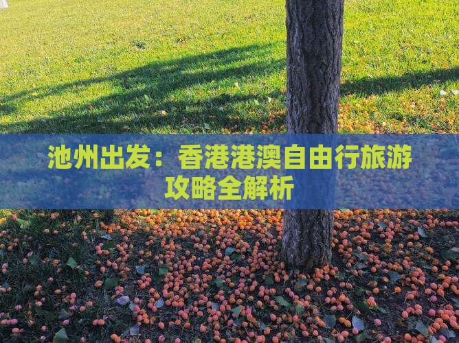 池州出发：香港港澳自由行旅游攻略全解析