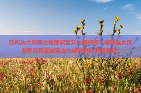 如何从大庆前往香港故宫文化博物馆？哪些是大庆游客在香港故宫文化博物馆必看的展品？