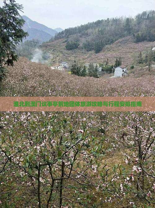 淮北到澳门议事亭前地团体旅游攻略与行程安排指南