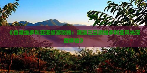 《香港维多利亚港旅游攻略：港澳三日游维多利亚风光深度体验》
