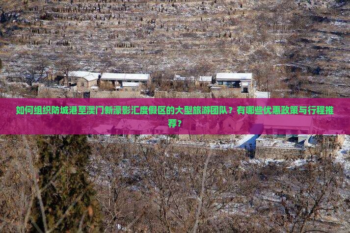 如何组织防城港至澳门新濠影汇度假区的大型旅游团队？有哪些优惠政策与行程推荐？