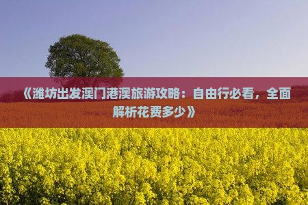 《潍坊出发澳门港澳旅游攻略：自由行必看，全面解析花费多少》