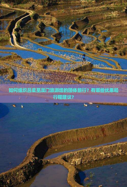如何组织吕梁至澳门旅游塔的团体旅行？有哪些优惠和行程建议？