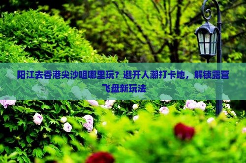 阳江去香港尖沙咀哪里玩？避开人潮打卡地，解锁露营+飞盘新玩法