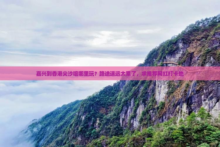 嘉兴到香港尖沙咀哪里玩？路途遥远太累了，求推荐网红打卡地
