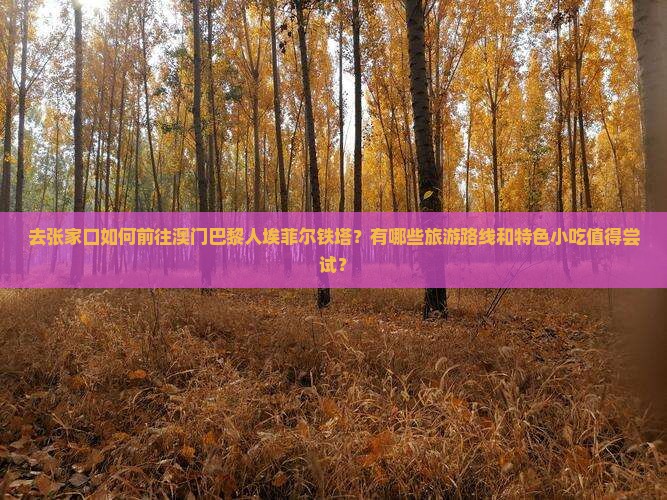 去张家口如何前往澳门巴黎人埃菲尔铁塔？有哪些旅游路线和特色小吃值得尝试？