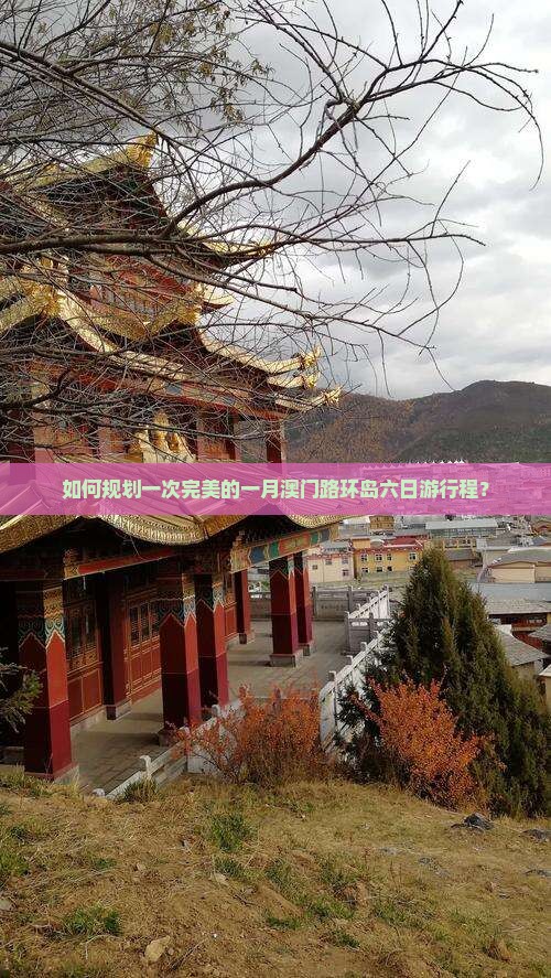 如何规划一次完美的一月澳门路环岛六日游行程？