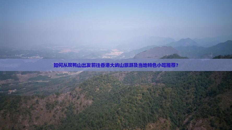 如何从双鸭山出发前往香港大屿山旅游及当地特色小吃推荐？