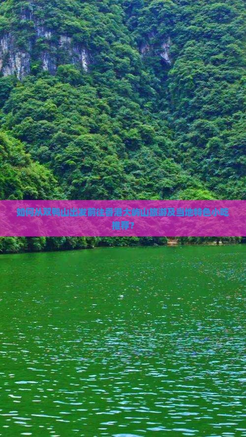 如何从双鸭山出发前往香港大屿山旅游及当地特色小吃推荐？
