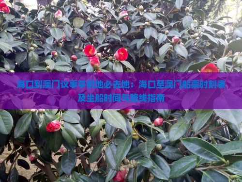 海口到澳门议事亭前地必去地：海口至澳门船票时刻表及坐船时间与路线指南