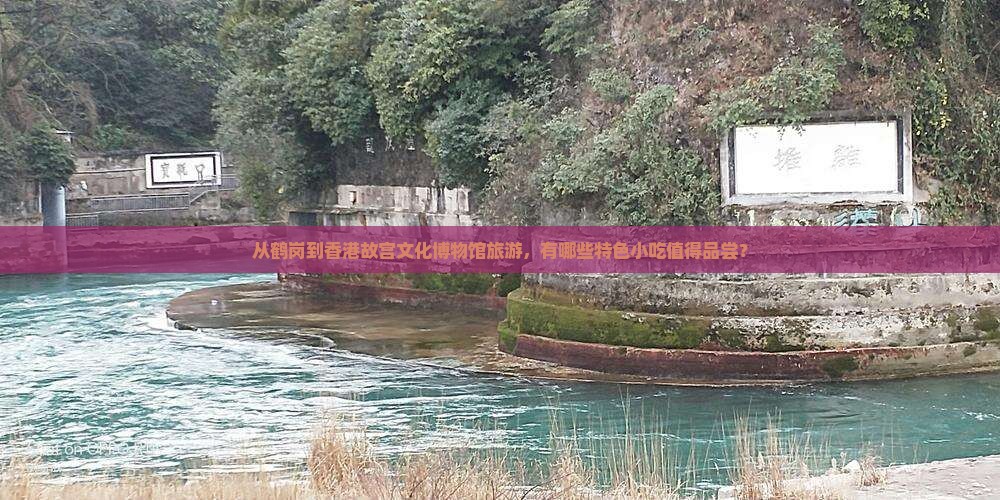 从鹤岗到香港故宫文化博物馆旅游，有哪些特色小吃值得品尝？