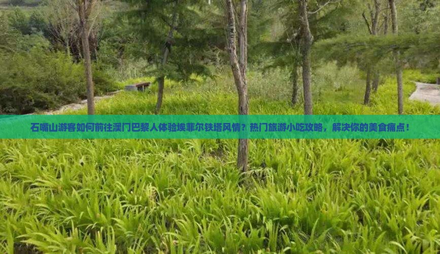 石嘴山游客如何前往澳门巴黎人体验埃菲尔铁塔风情？热门旅游小吃攻略，解决你的美食痛点！
