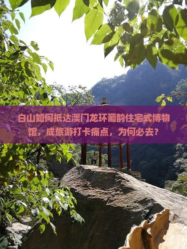 白山如何抵达澳门龙环葡韵住宅式博物馆，成旅游打卡痛点，为何必去？